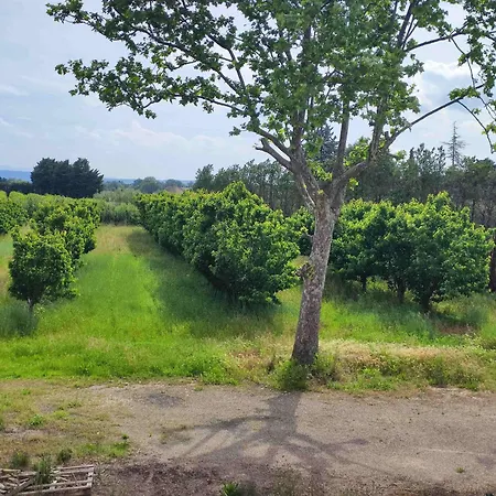 Homestay 3 Personnes Avec Salle De Bain Dans Mas Du Luberon